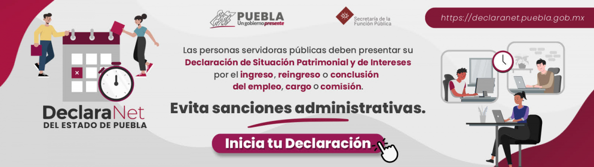 Declaranet ingreso conclusión